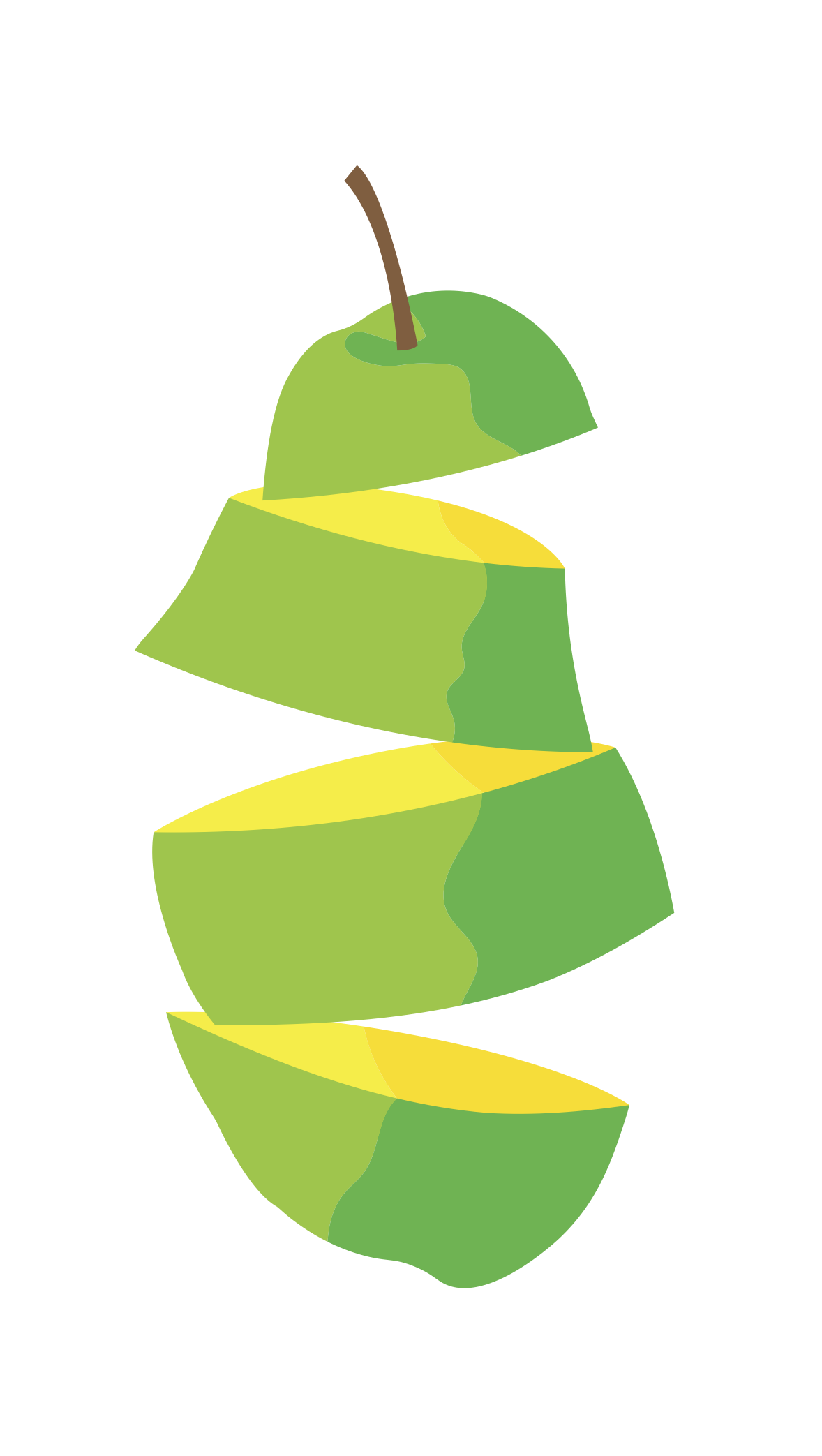 Illustrator & Visual Narrative