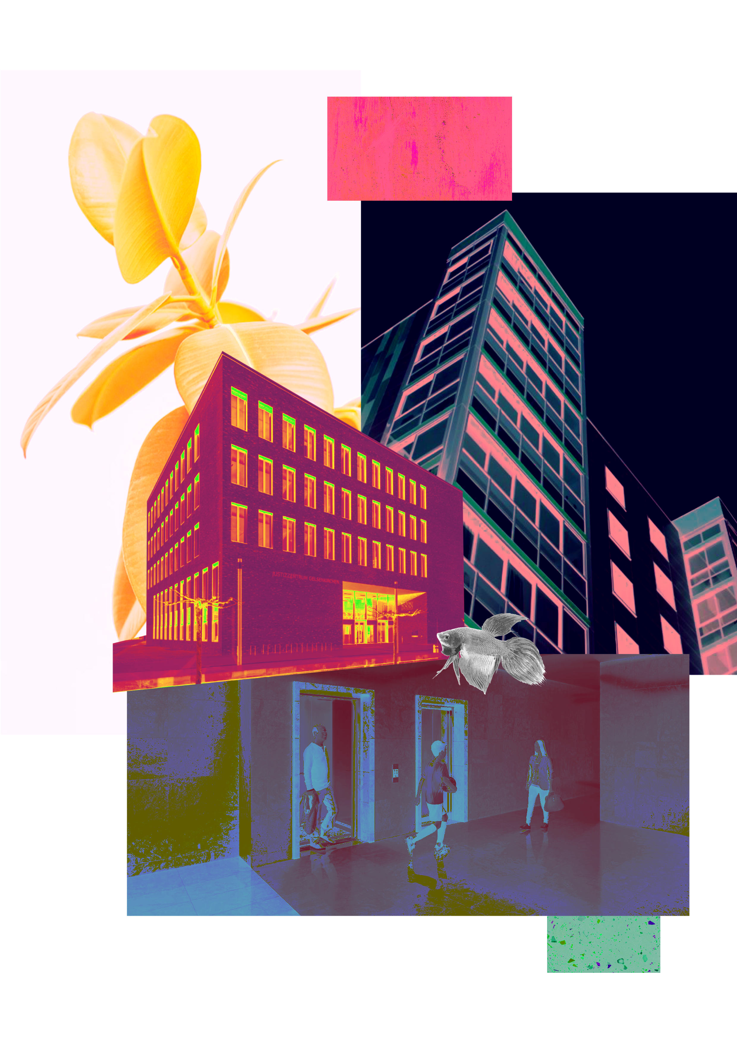 Digital Photography & Imaging